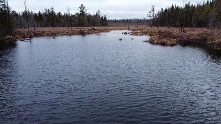 Waterfront land in Washington County - image 1