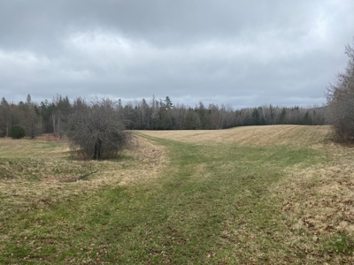 Waterfront land in Washington County - image 7