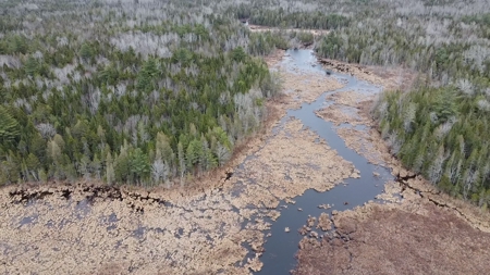 Waterfront land in Washington County - image 3