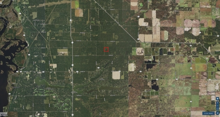 Town of Rome 40 acre timber lot for sale in Adams County WI - image 3