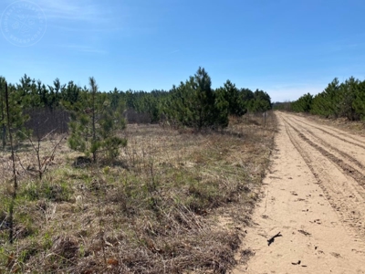 Town of Rome 60 acre timber lot for sale in Adams County WI - image 7