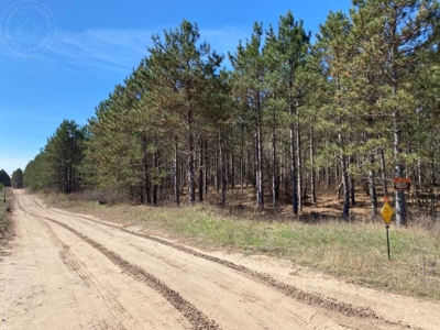 Town of Rome 60 acre timber lot for sale in Adams County WI - image 11