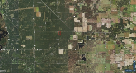 Town of Rome 60 acre timber lot for sale in Adams County WI - image 12