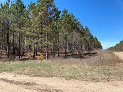 Town of Rome 60 acre timber lot for sale in Adams County WI - image 10
