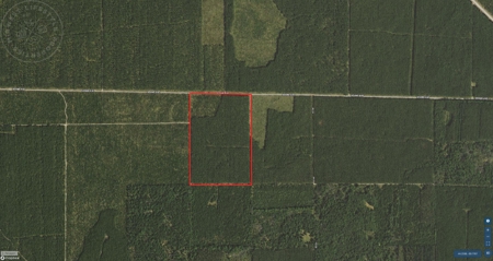 Town of Rome 60 acre timber lot for sale in Adams County WI - image 1