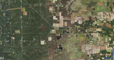 Town of Rome 60 acre timber lot for sale in Adams County WI - image 9
