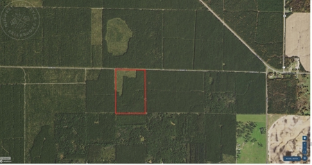 Town of Rome 60 acre timber lot for sale in Adams County WI - image 2