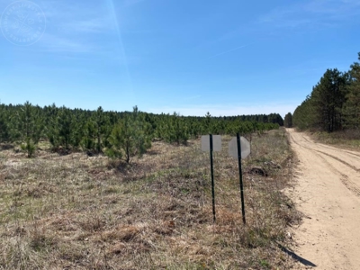 Town of Rome 60 acre timber lot for sale in Adams County WI - image 12