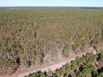 Town of Rome 80 acre timber lot for sale in Adams County WI - image 11