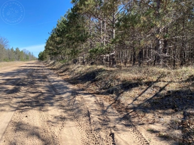 Town of Rome 80 acre timber lot for sale in Adams County WI - image 14
