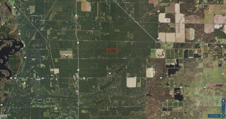 Town of Rome 80 acre timber lot for sale in Adams County WI - image 6