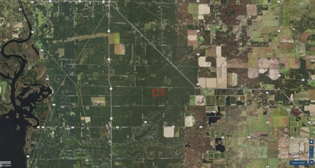 Town of Rome 80 acre timber lot for sale in Adams County WI - image 8
