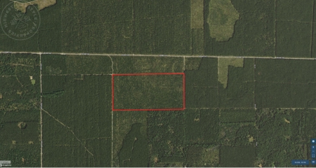 Town of Rome 80 acre timber lot for sale in Adams County WI - image 7
