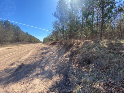 Corner Town of Rome 90 acre timber lot for sale in Adams Cou - image 27