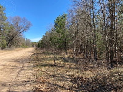Corner Town of Rome 90 acre timber lot for sale in Adams Cou - image 21