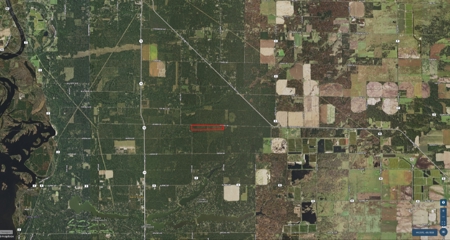 Corner Town of Rome 90 acre timber lot for sale in Adams Cou - image 9