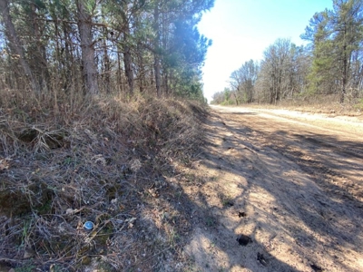 Corner Town of Rome 90 acre timber lot for sale in Adams Cou - image 24