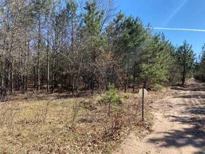 Corner Town of Rome 90 acre timber lot for sale in Adams Cou - image 19