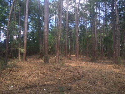 9.59 Acres Commercial Land for Sale McComb MS - image 2