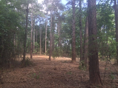 9.59 Acres Commercial Land for Sale McComb MS - image 6