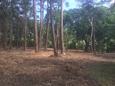 9.59 Acres Commercial Land for Sale McComb MS - image 3