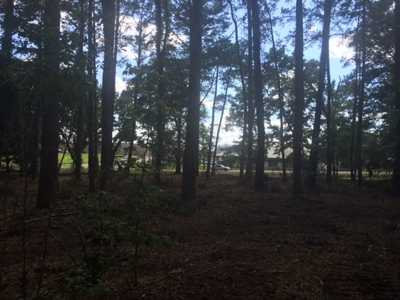 9.59 Acres Commercial Land for Sale McComb MS - image 8