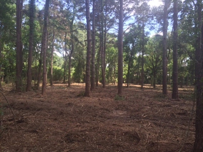 9.59 Acres Commercial Land for Sale McComb MS - image 7