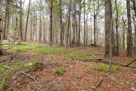 Wooded Land for Sale in Riner VA - image 20