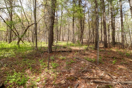 Wooded Land for Sale in Riner VA - image 18