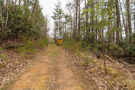 Wooded Land for Sale in Riner VA - image 3