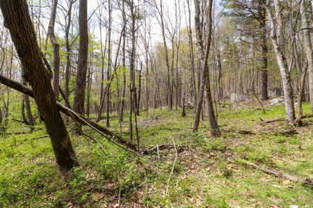 Wooded Land for Sale in Riner VA - image 1