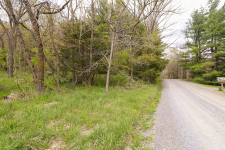 Wooded Land for Sale in Riner VA - image 15