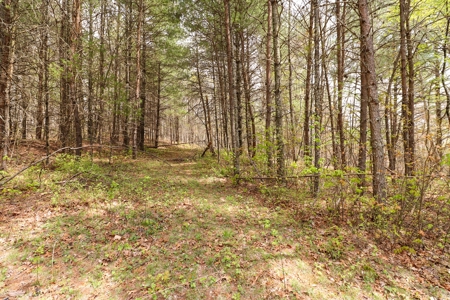 Wooded Land for Sale in Riner VA - image 10