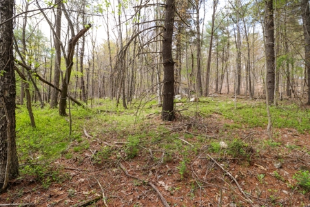 Wooded Land for Sale in Riner VA - image 19