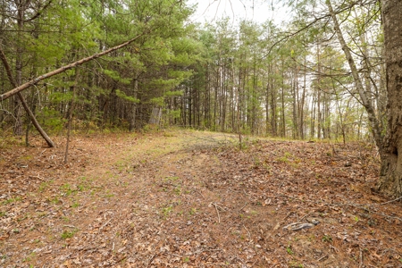 Wooded Land for Sale in Riner VA - image 9