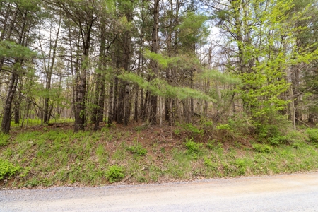 Wooded Land for Sale in Riner VA - image 23