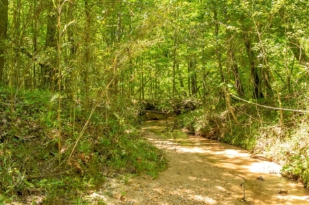 23 Acres Land for Sale in Jackson, East Feliciana Parish, LA - image 1
