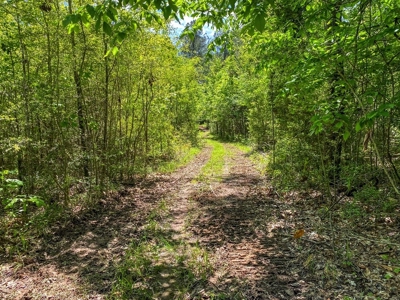 23 Acres Land for Sale in Jackson, East Feliciana Parish, LA - image 38
