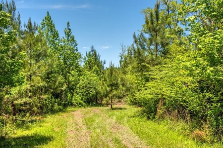 23 Acres Land for Sale in Jackson, East Feliciana Parish, LA - image 24