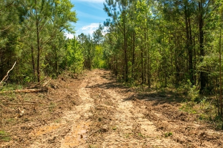23 Acres Land for Sale in Jackson, East Feliciana Parish, LA - image 28