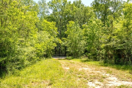 23 Acres Land for Sale in Jackson, East Feliciana Parish, LA - image 2
