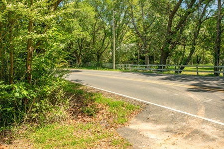 23 Acres Land for Sale in Jackson, East Feliciana Parish, LA - image 20