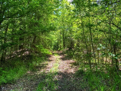 23 Acres Land for Sale in Jackson, East Feliciana Parish, LA - image 37