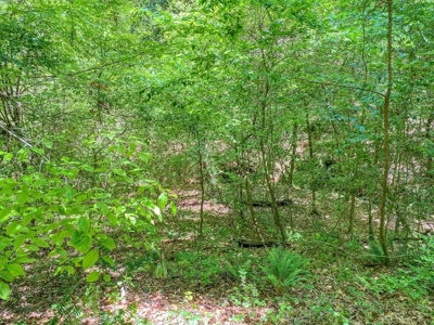 23 Acres Land for Sale in Jackson, East Feliciana Parish, LA - image 35
