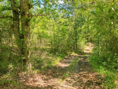 23 Acres Land for Sale in Jackson, East Feliciana Parish, LA - image 39