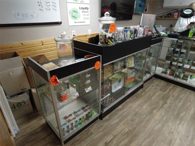 Liquor and Cannabis Store for Sale - image 4