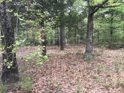 Beautiful acreage with Shop in Mountain View AR - image 21