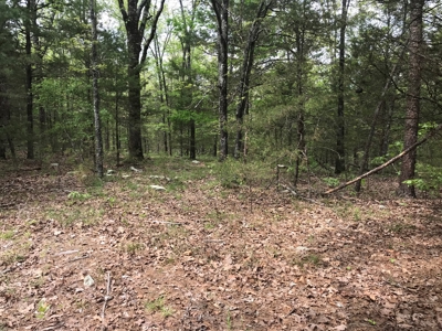 Beautiful acreage with Shop in Mountain View AR - image 30