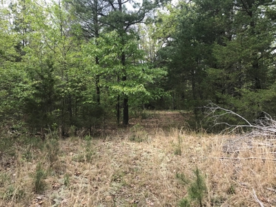 Beautiful acreage with Shop in Mountain View AR - image 27