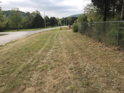 Beautiful acreage with Shop in Mountain View AR - image 5